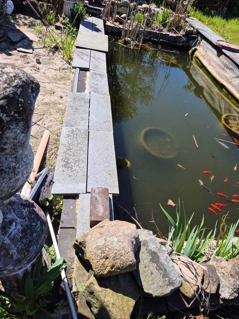 Vijverrand, keien en vissen, Ophalen, Gebruikt, Overige typen