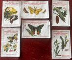 6 antieke sluitzegels vlinder rups Kwatta chocolade Breda, Ophalen of Verzenden, Gebruikt, Overige typen