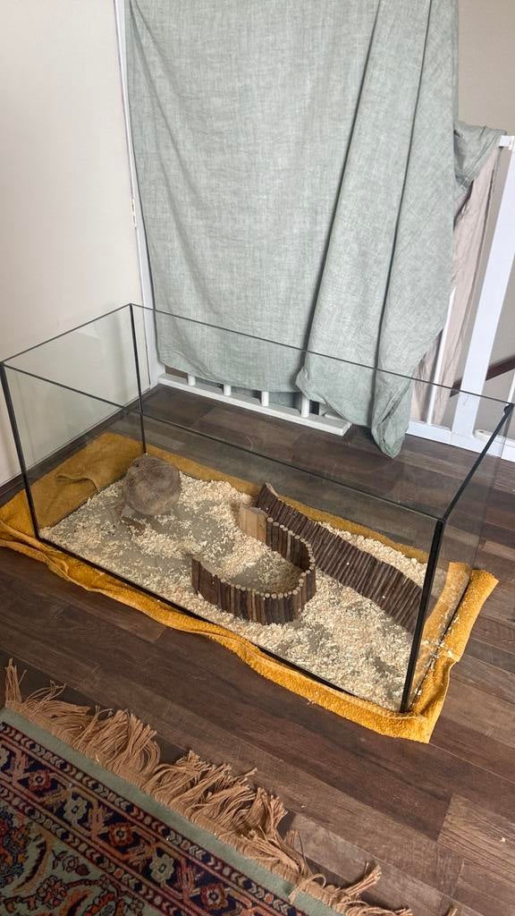 Hamster hok (aquarium), Minder dan 75 cm, Zo goed als nieuw, Ophalen, Minder dan 60 cm