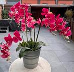 Levendige Roze Kunst Orchidee in Zinken Pot, Ophalen, Binnen, Roze, Kunstplant