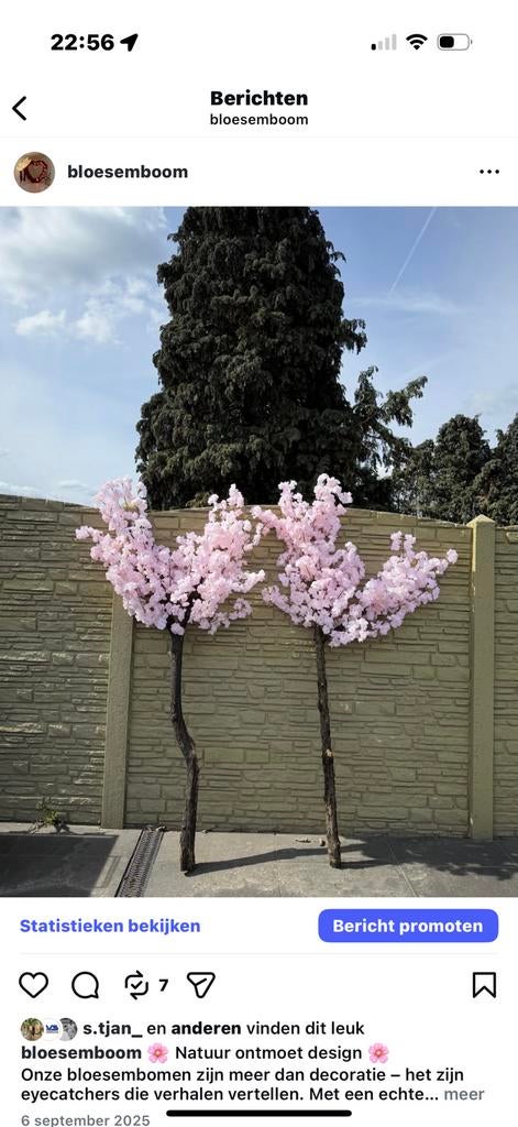 Bloesemboom, Huis en Inrichting, Woonaccessoires | Kunstplanten en Kunstbloemen, Ophalen