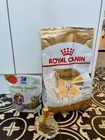 Brokjes, snoepjes en parfum hond (chihuaha), Ophalen, Hond