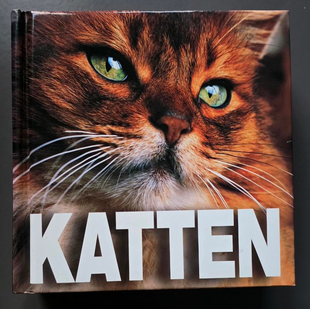 Katten, Ophalen of Verzenden, Zo goed als nieuw, Katten