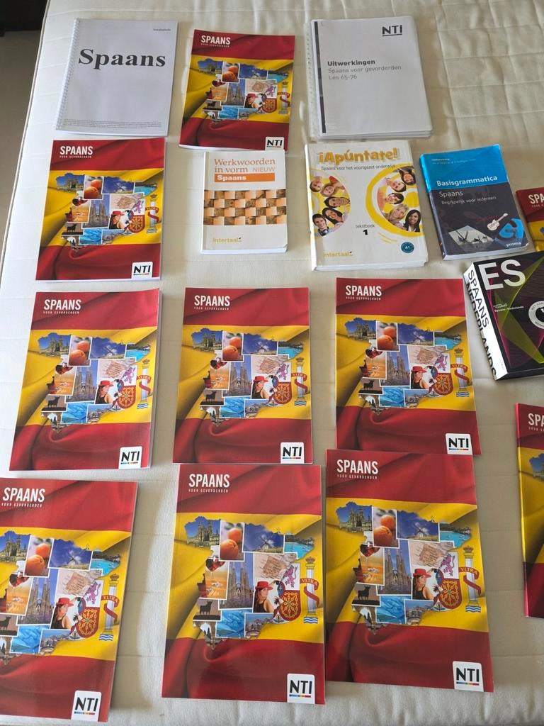 NTI Spaans Cursusboeken en Woordenboek, Boeken, Taal | Spaans, Zo goed als nieuw, Non-fictie, Ophalen of Verzenden