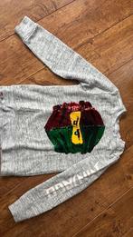 Trui Ninjago 122 / 128, Ophalen of Verzenden, Zo goed als nieuw, Jongen, Trui of Vest