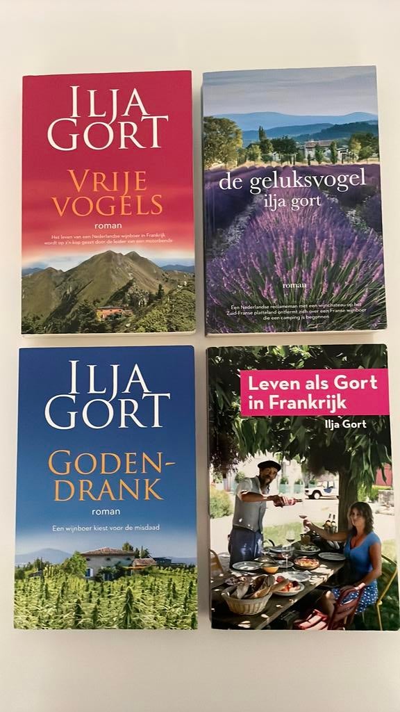 Ilja Gort 4 boeken (met titels in de beschrijving), Ophalen of Verzenden, Gelezen, Ilja Gort, Nederland