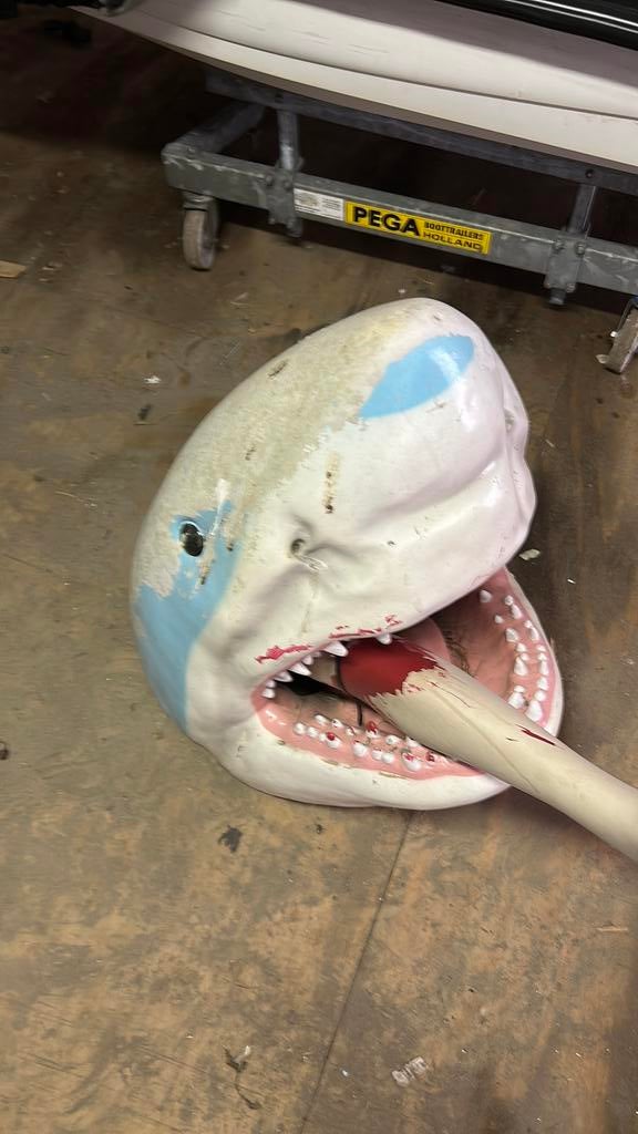 Polyester haai, Ophalen