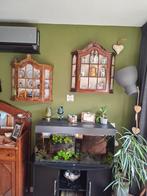 Te koop aquarium, Ophalen of Verzenden, Gevuld zoetwateraquarium