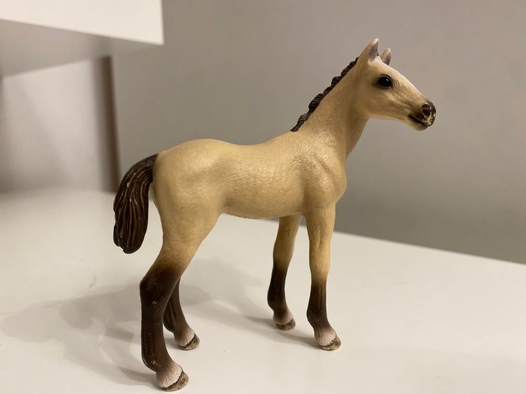 Schleich Akhal Teke Veulen ~ 13702, Ophalen of Verzenden, Zo goed als nieuw, Paard, Beeldje of Figuurtje