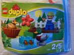 duplo, Kinderen en Baby's, Ophalen of Verzenden, Gebruikt, Duplo