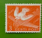 Vogel duif, Ophalen of Verzenden, Dier of Natuur