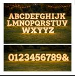 Alle lichtletters en lichtcijfers zijn bij ons te huur!, Hobby en Vrije tijd, Feestartikelen | Verhuur, Ophalen