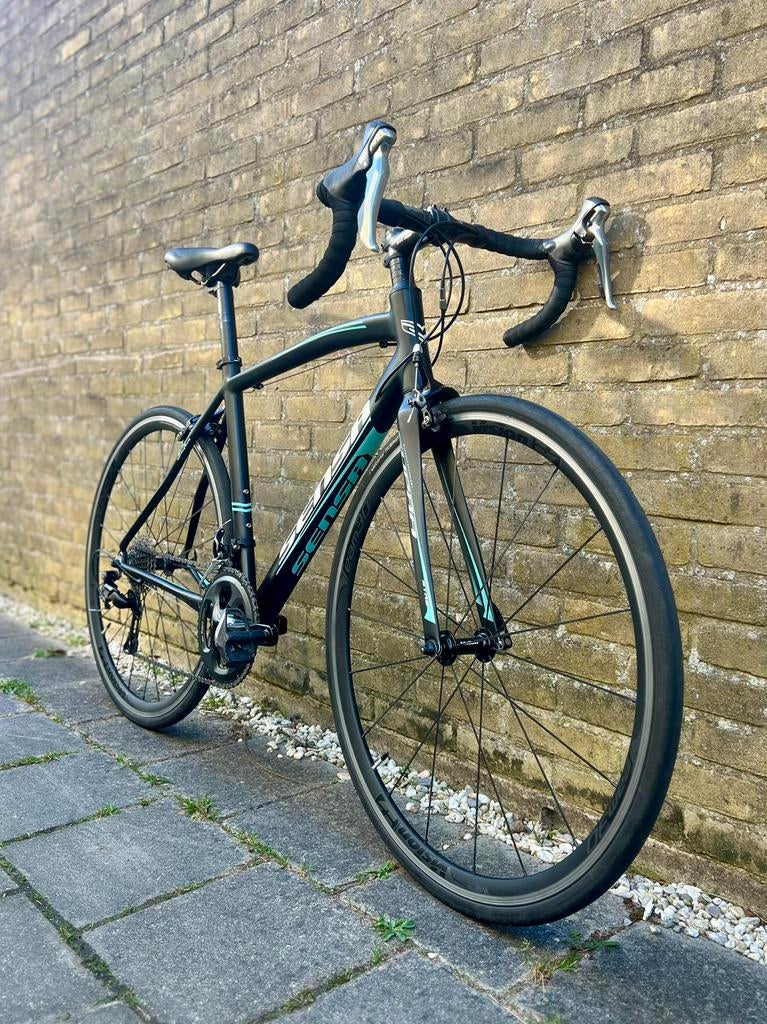 Sensa Latina LTD 105, Maat 51, Shimano 105, Dames racefiets, 28 inch, Zo goed als nieuw, Ophalen, Overige merken