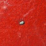 GEDEGEN PLATINA, VS, Ophalen of Verzenden, Mineraal