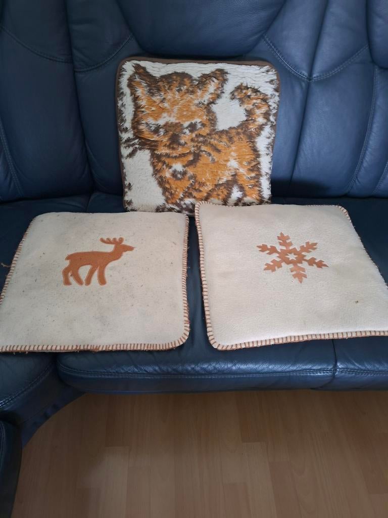 3 mooie sierkussens, Huis en Inrichting, Ophalen of Verzenden, Zo goed als nieuw, Vierkant