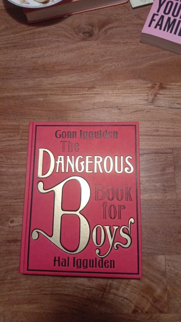 The dangerous book for boys, Boeken, Taal | Engels, Zo goed als nieuw, Fictie, Ophalen of Verzenden