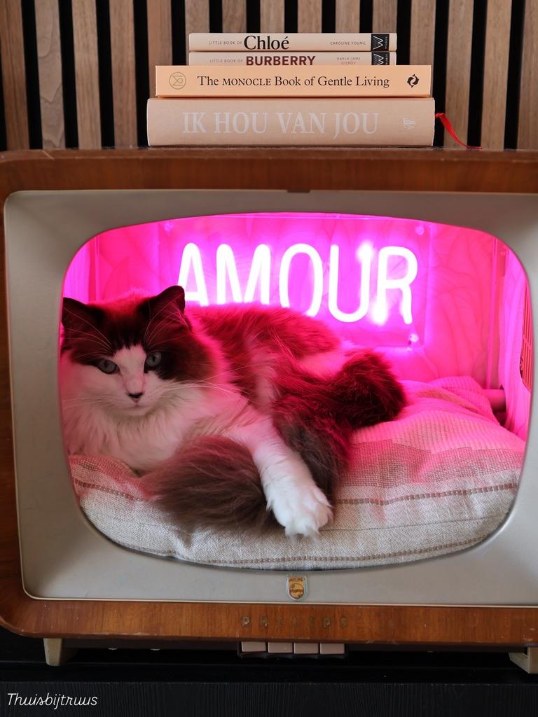 Kattenmand vintage tv, Ophalen, Gebruikt, Overige