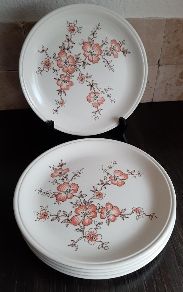 Vijf vintage bordjes met bloesem van Bilstons, Ophalen of Verzenden, Zo goed als nieuw, Bord(en), Overige stijlen