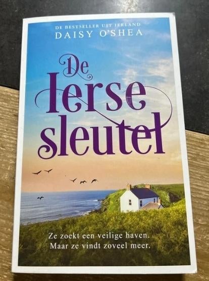 De Ierse sleutel, Ophalen of Verzenden, Gelezen