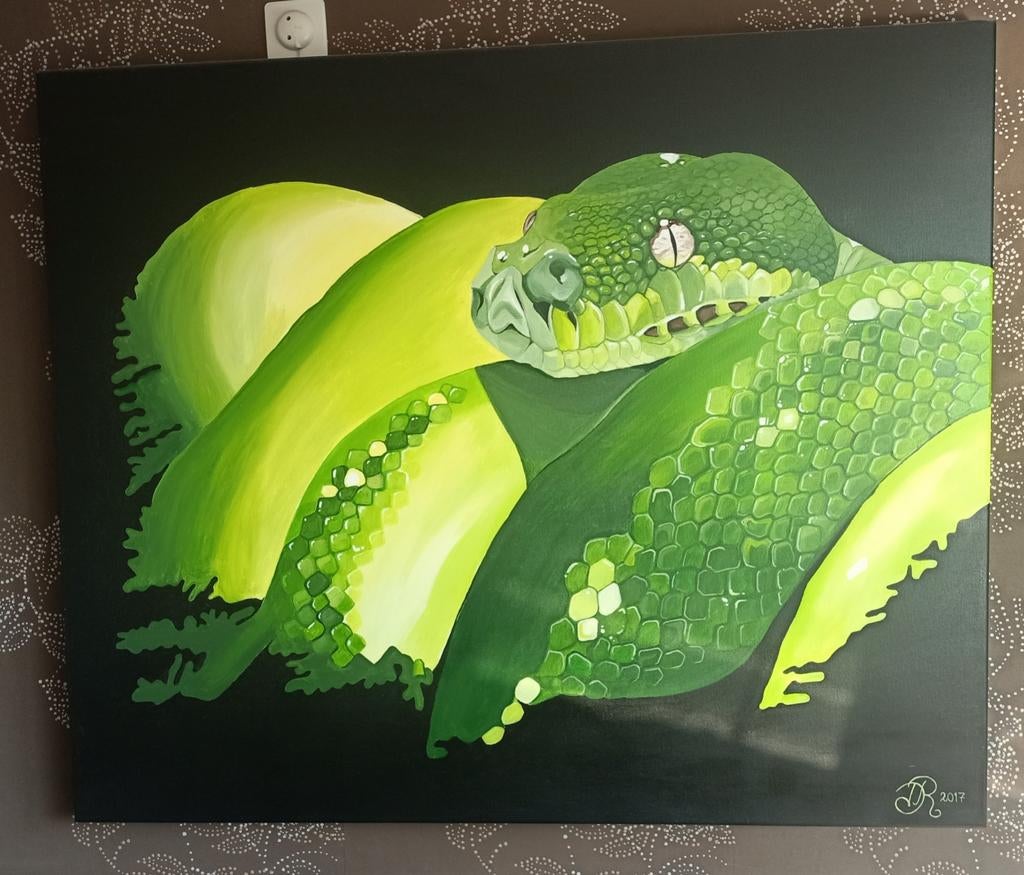 Boompython, Dieren en Toebehoren, Ophalen, Zo goed als nieuw