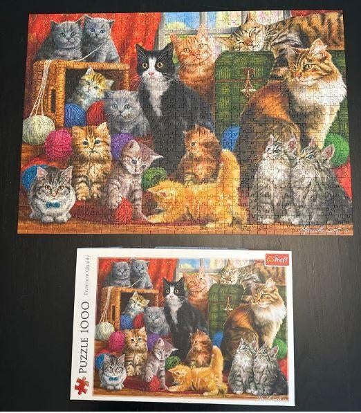 Trefl Puzzel 1000 Stukjes - Katten Kittens Poezen NIEUWSTAAT, Ophalen, 500 t/m 1500 stukjes, Nieuw