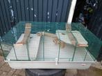 Nette en grote hamsterbak of cavia kooi zo goed als nieuw!!, Dieren en Toebehoren, Kooi, Zo goed als nieuw, Cavia, 75 tot 110 cm