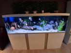 Groot aquarium, Dieren en Toebehoren, Vissen | Aquaria en Toebehoren, Ophalen, Zo goed als nieuw, Leeg aquarium