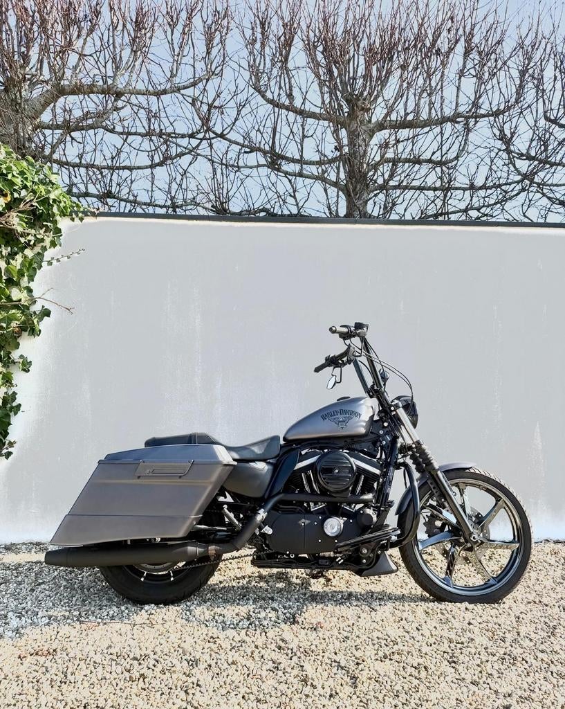 Harley Davidson Sportster Iron 883, Motoren, Motoren | Harley-Davidson, Particulier, Chopper