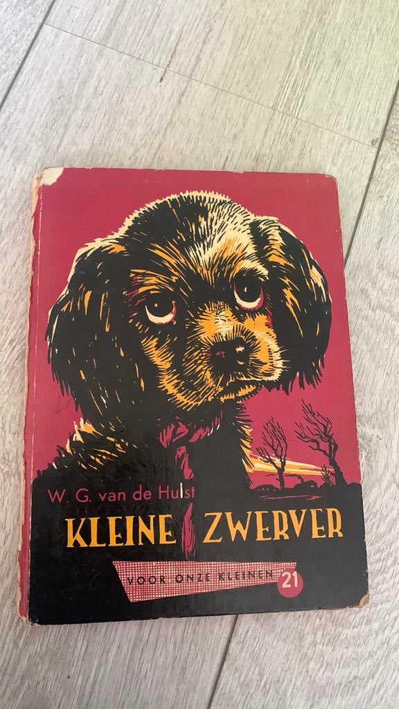 Kleine zwerver - W. G. van de Hulst, Boeken, Ophalen of Verzenden, Gelezen, Fictie algemeen