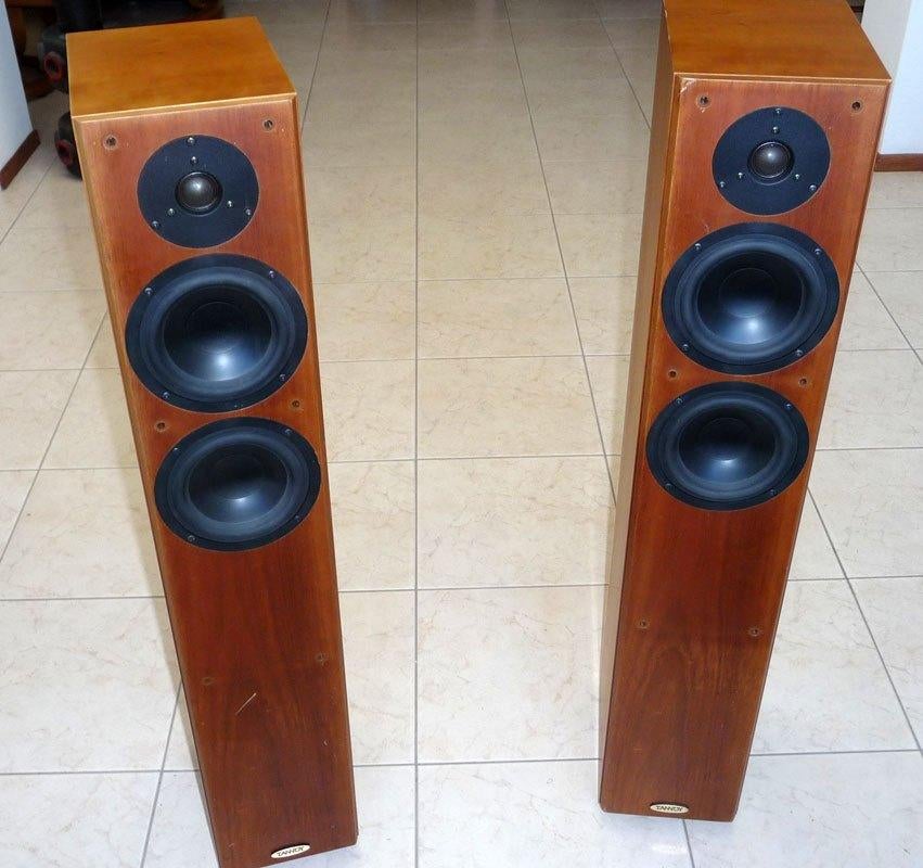 Tannoy Revolution R2 luidsprekerset, Gebruikt, 60 tot 120 watt, Front, Rear of Stereo speakers, Ophalen