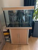 Aquarium trofis 80 x 60 x 40 cm inclusief kast e.d., Ophalen, Overige merken, Zo goed als nieuw, Leeg aquarium
