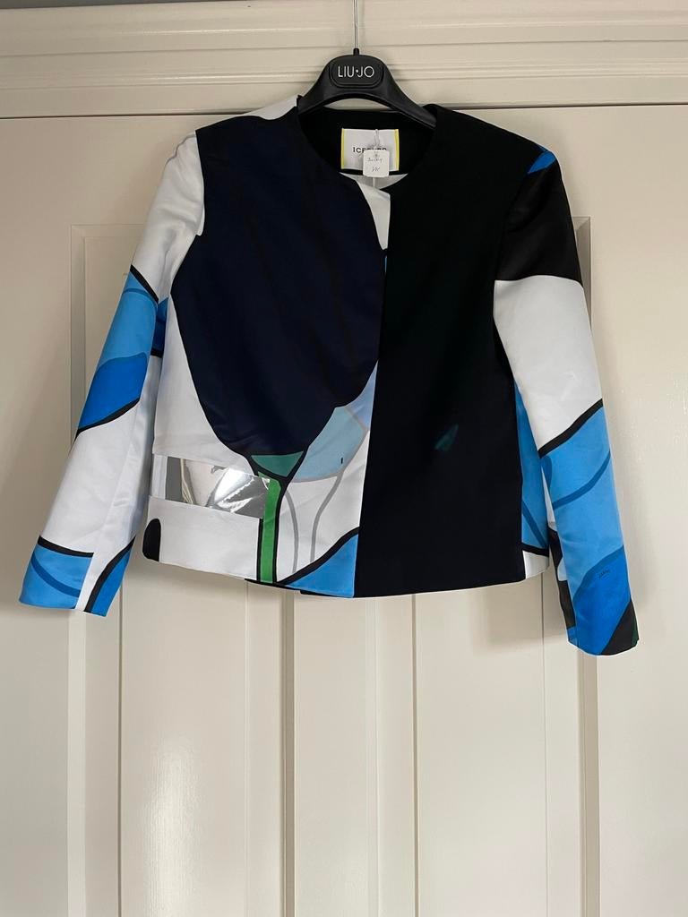 Jasje Iceberg, Ophalen of Verzenden, Gedragen, Maat 42/44 (L), Blauw