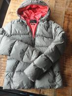 Maison Scotch winterjas maat S, Ophalen of Verzenden, Zo goed als nieuw, Maat 38/40 (M), Grijs