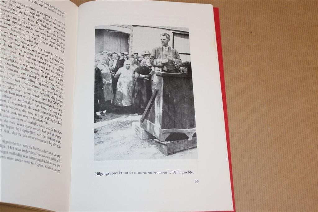 Staking in de Graanrepubliek — Oost-Groningen 1929, Ophalen of Verzenden, Gelezen