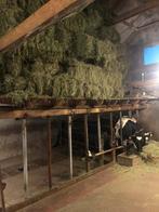 Kleine hooibaaltjes, Dieren en Toebehoren, Dierenvoeding, Ophalen of Verzenden, Vee