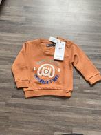 Truitje jongens, Kinderen en Baby's, Babykleding | Maat 68, Ophalen of Verzenden, Zo goed als nieuw, Jongetje, Truitje of Vestje