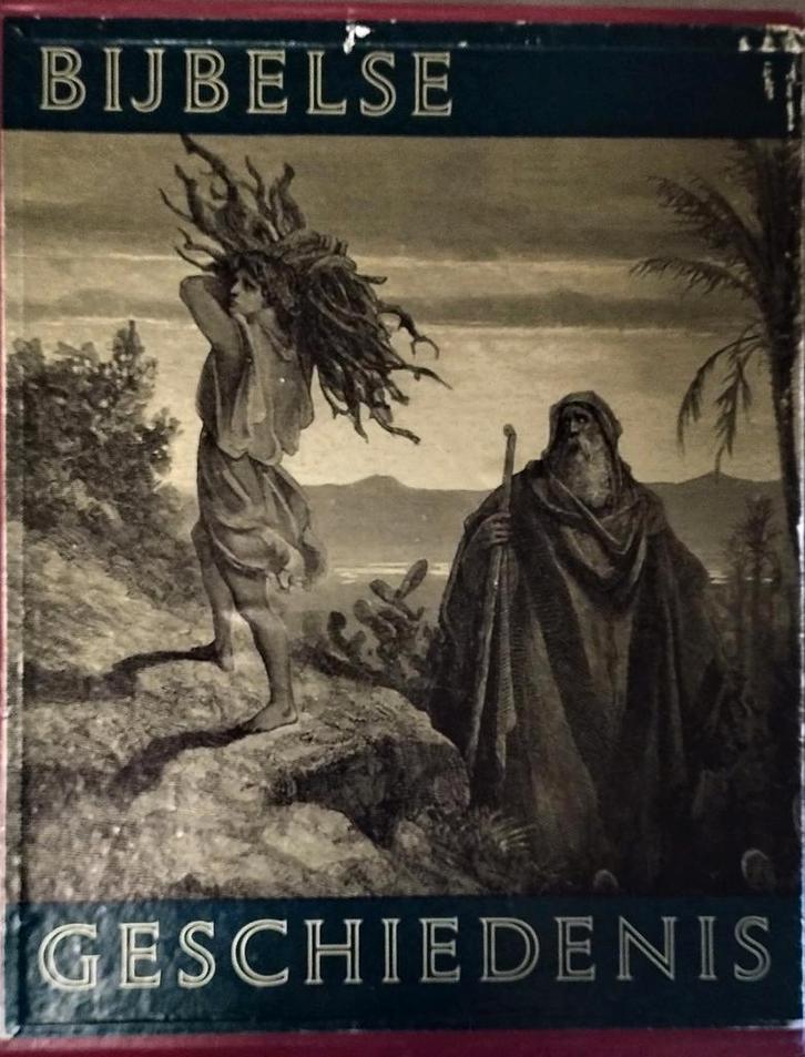 Bijbelse Geschiedenis - Geïllustreerd Boek, Boeken, Godsdienst en Theologie, Zo goed als nieuw, Christendom | Katholiek, Christendom | Protestants