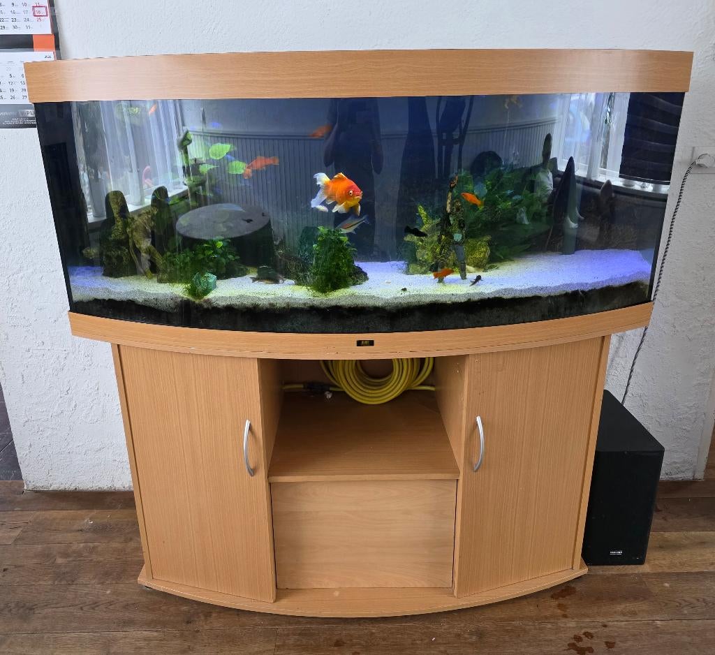 Juwel Vision 450 (Sump, CO2, Clarisea), Dieren en Toebehoren, Vissen | Aquaria en Toebehoren, Ophalen, Zo goed als nieuw, Leeg aquarium