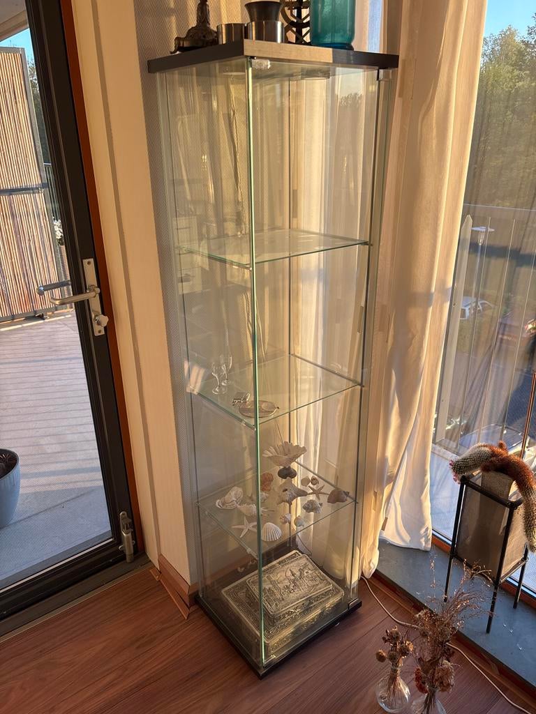 Glazen vitrinekast met planken en verlichting., Ophalen, Minder dan 50 cm, Minder dan 25 cm, 150 tot 200 cm