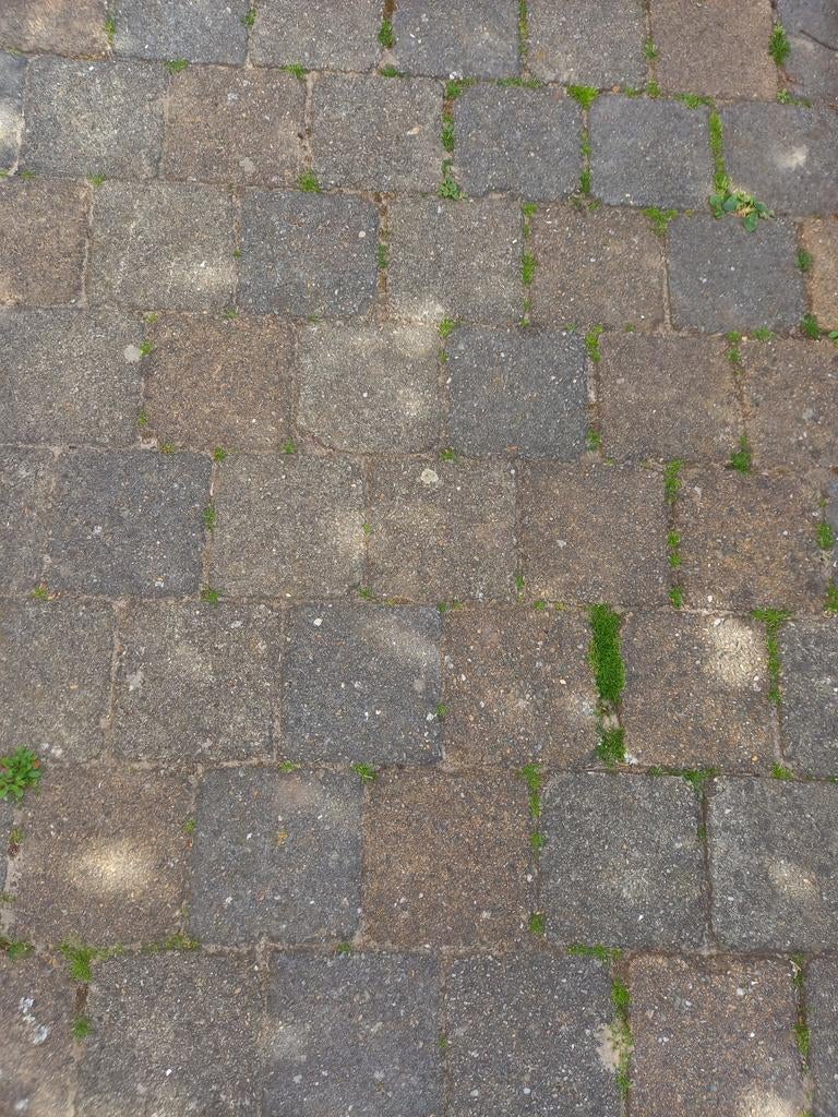 22  m2 klinkers, 20 m halve klinkers, Tuin en Terras, Ophalen, Beton, Klinkers