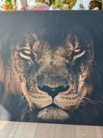 Canvas leeuw 150*100 cm, Ophalen, 125 cm of meer, Zo goed als nieuw, Schilderij