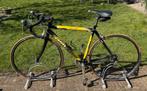 Racefiets Sintesi met Shimano Ultegra onderdelen, Gebruikt, Heren, 15 tot 20 versnellingen, 53 tot 57 cm