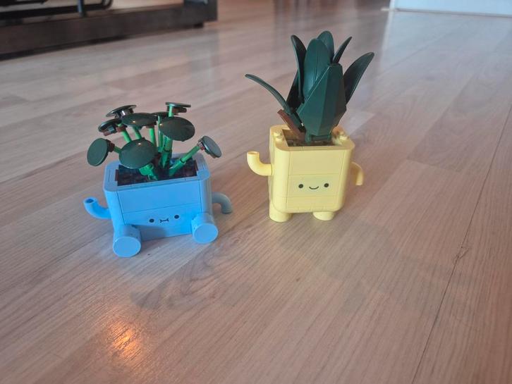 LEGO Icons Miniplantjes 10329 - Compleet en netjes, Kinderen en Baby's, Speelgoed | Bouwstenen, Zo goed als nieuw, Overige merken