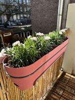 Elho plantenbak voor aan het balkon, Ophalen, Kunststof, Minder dan 30 cm, Balkon
