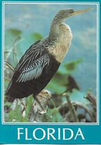 Slanghalsvogel., Verzenden, 1980 tot heden, Ongelopen, Vogel