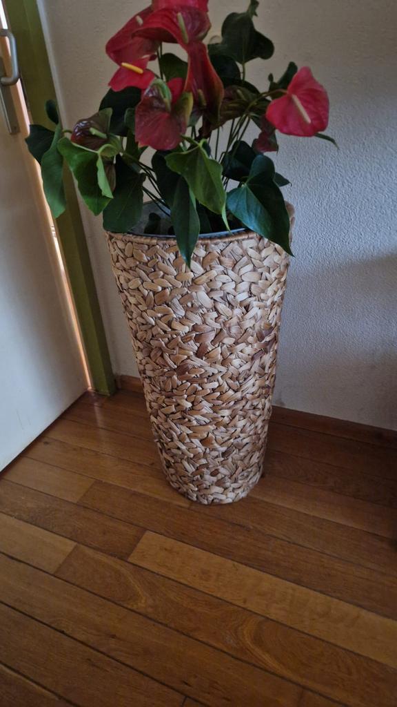 Bloempot hoog van riet met binnenbak voor binnen, Tuin en Terras, Bloempotten, Ophalen, Rond, Overige materialen, Binnen