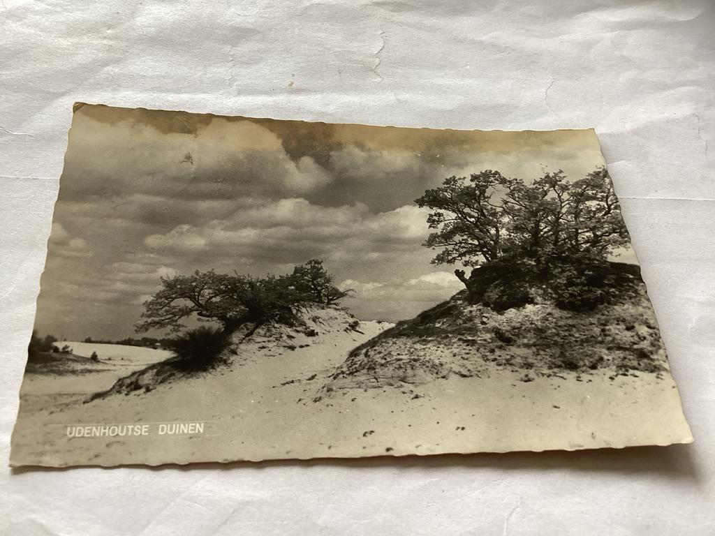 Oude Ansichtkaart Udenhoutse Duinen - Gelopen, Ophalen of Verzenden, 1940 tot 1960, Gelopen, Noord-Brabant