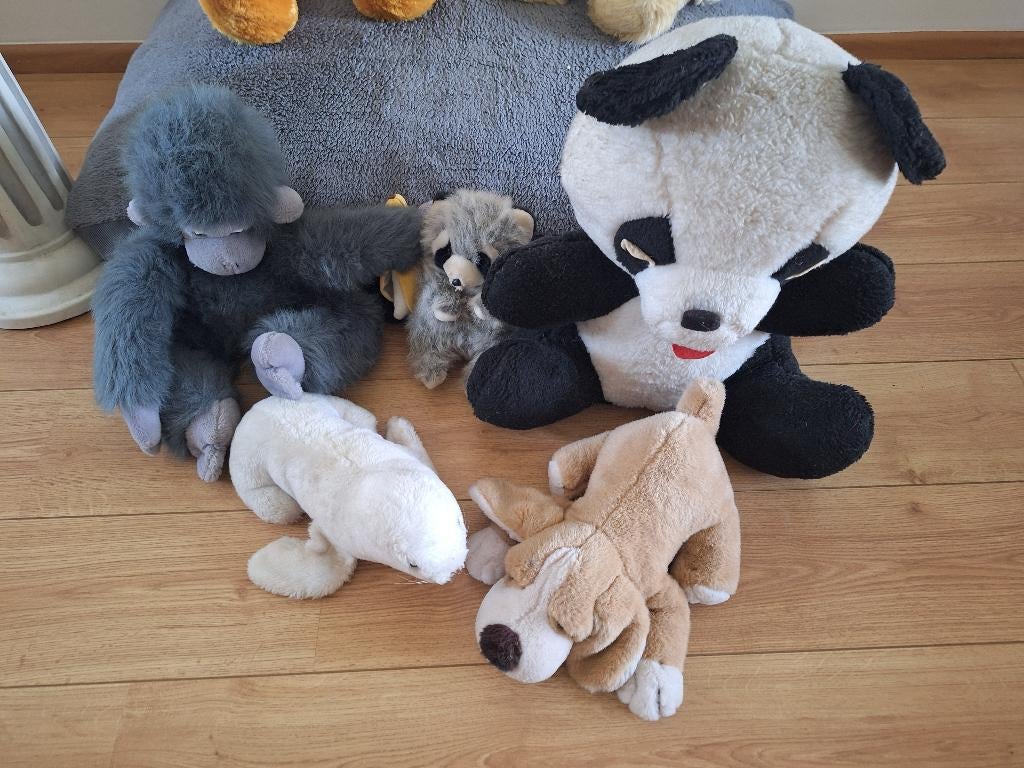 Diverse knuffels, Gratis, Ophalen, Gebruikt, Overige typen