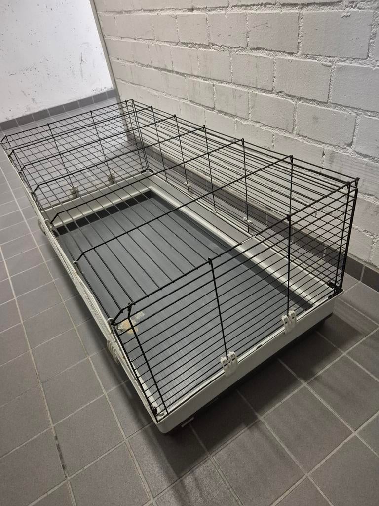 Knaagdier kooi, Dieren en Toebehoren, Hondenhokken, Ophalen, 110 cm of meer, Minder dan 65 cm