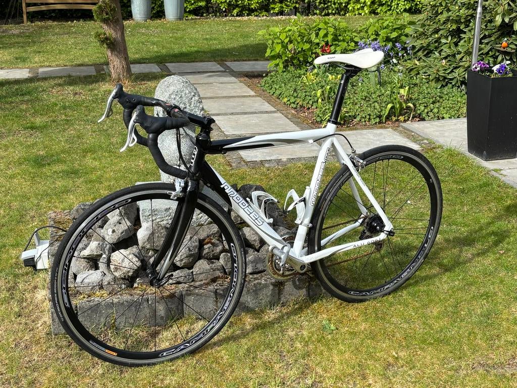 Moozes Boast 56 cm, wit/zwart, Campagnolo Veloce, Gebruikt, Velgrem, Meer dan 20 versnellingen, 53 tot 57 cm